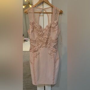Lipsy Blush Pink  Lace Embellished Dress Size 12 NWT